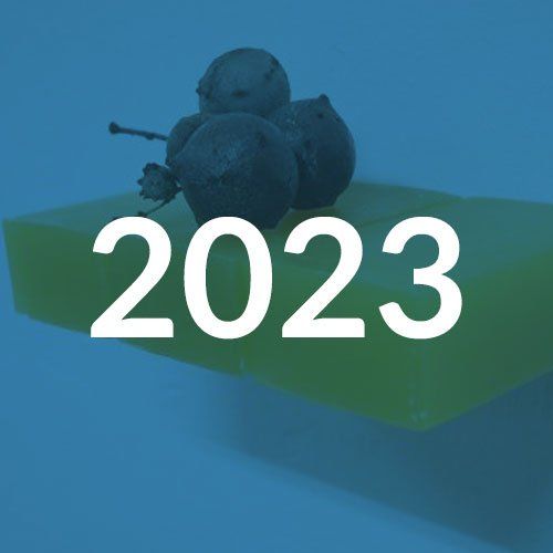 2023