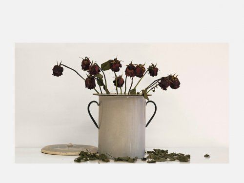 Beatriu Condonyer  Florero II