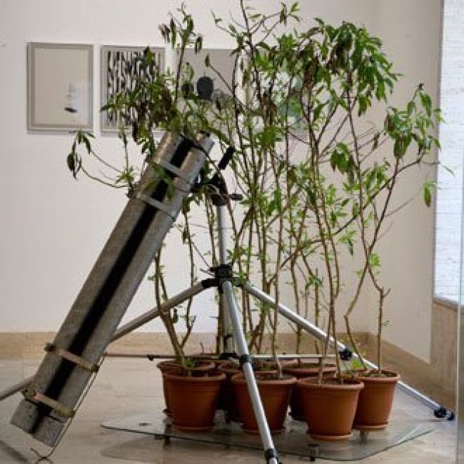 Exposición de Manel Manel Margalef