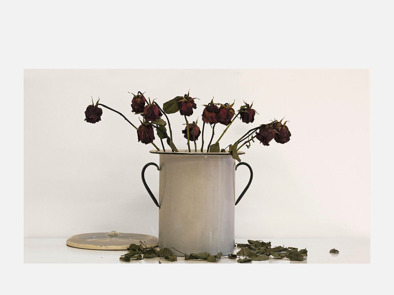 Beatriu Codonyer, Florero femenino Beatriu Codonyer, Florero femenino