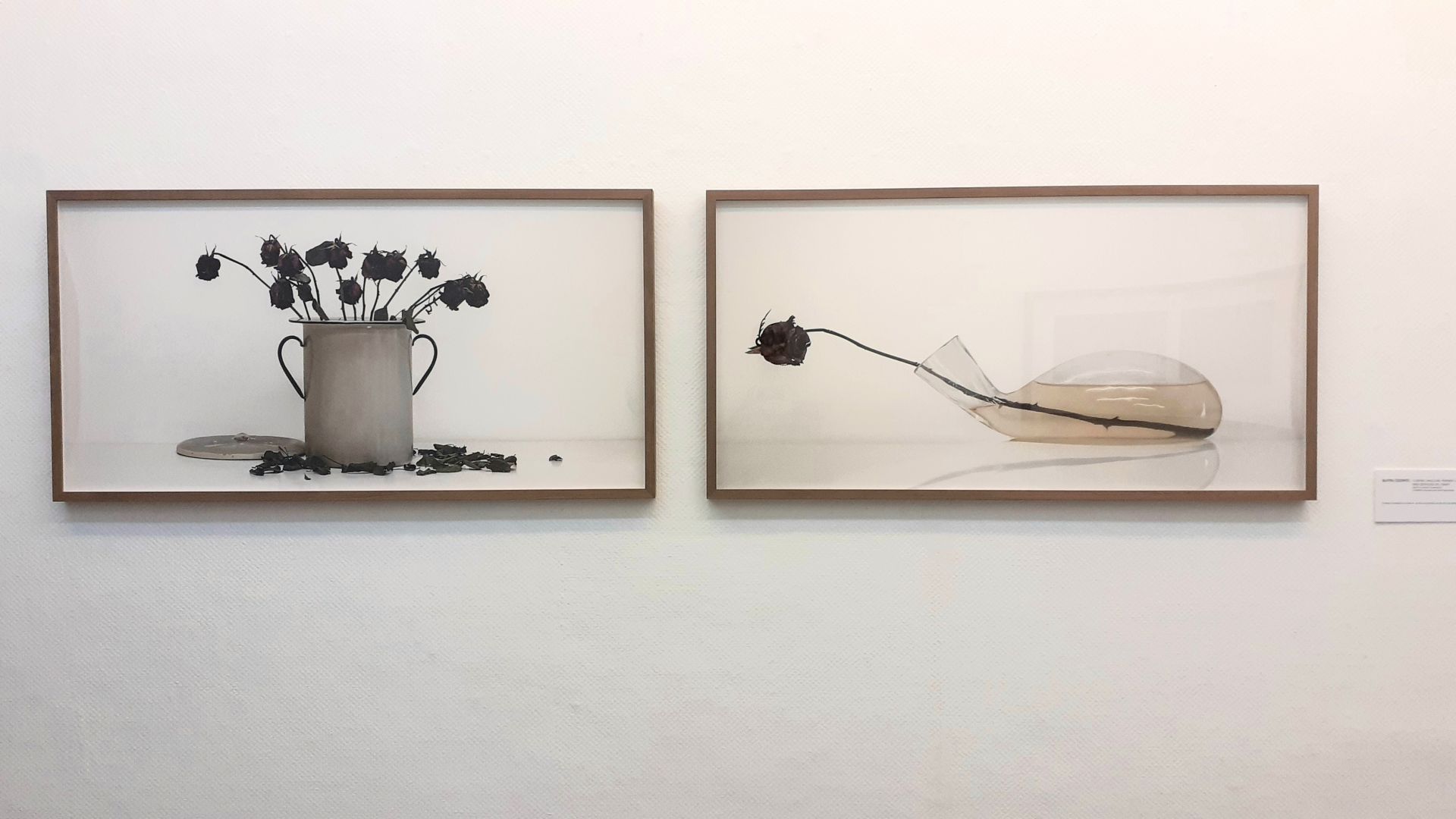 Beatriu Codonyer, Floreros Beatriu Codonyer, Floreros